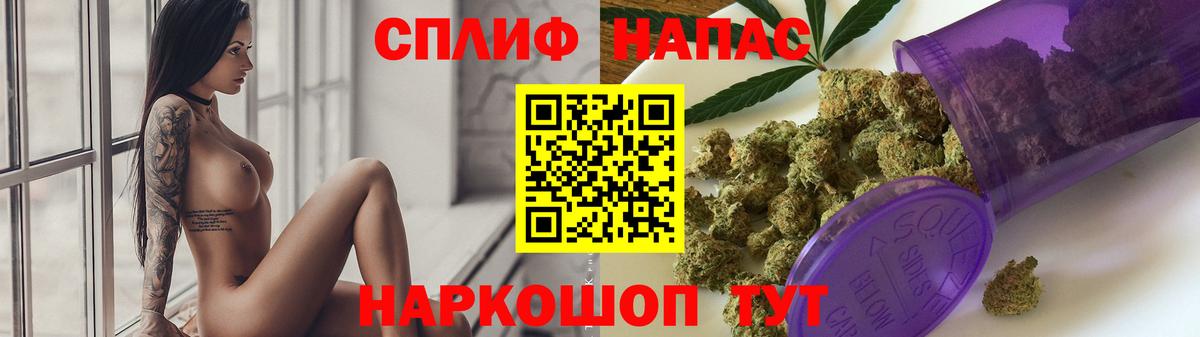 Конопля план Сосновоборск